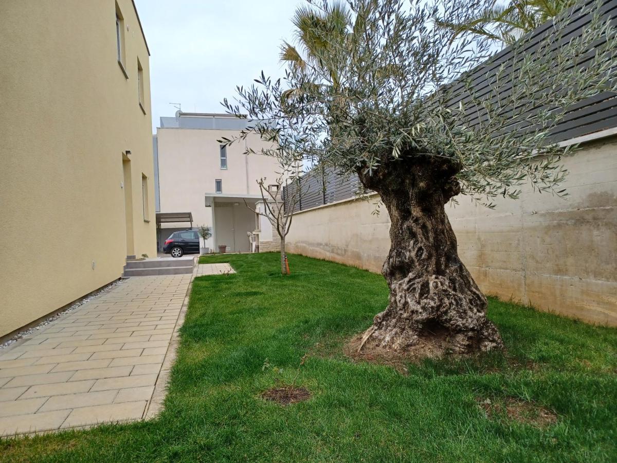 Apartments Leon 1 Novigrad Istria المظهر الخارجي الصورة